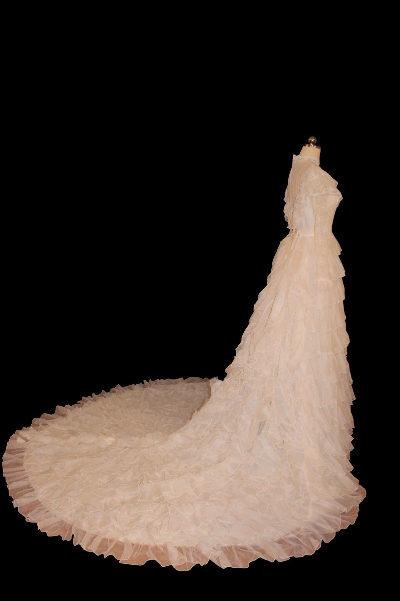 Vintage 70s Edwardian Ball Gown