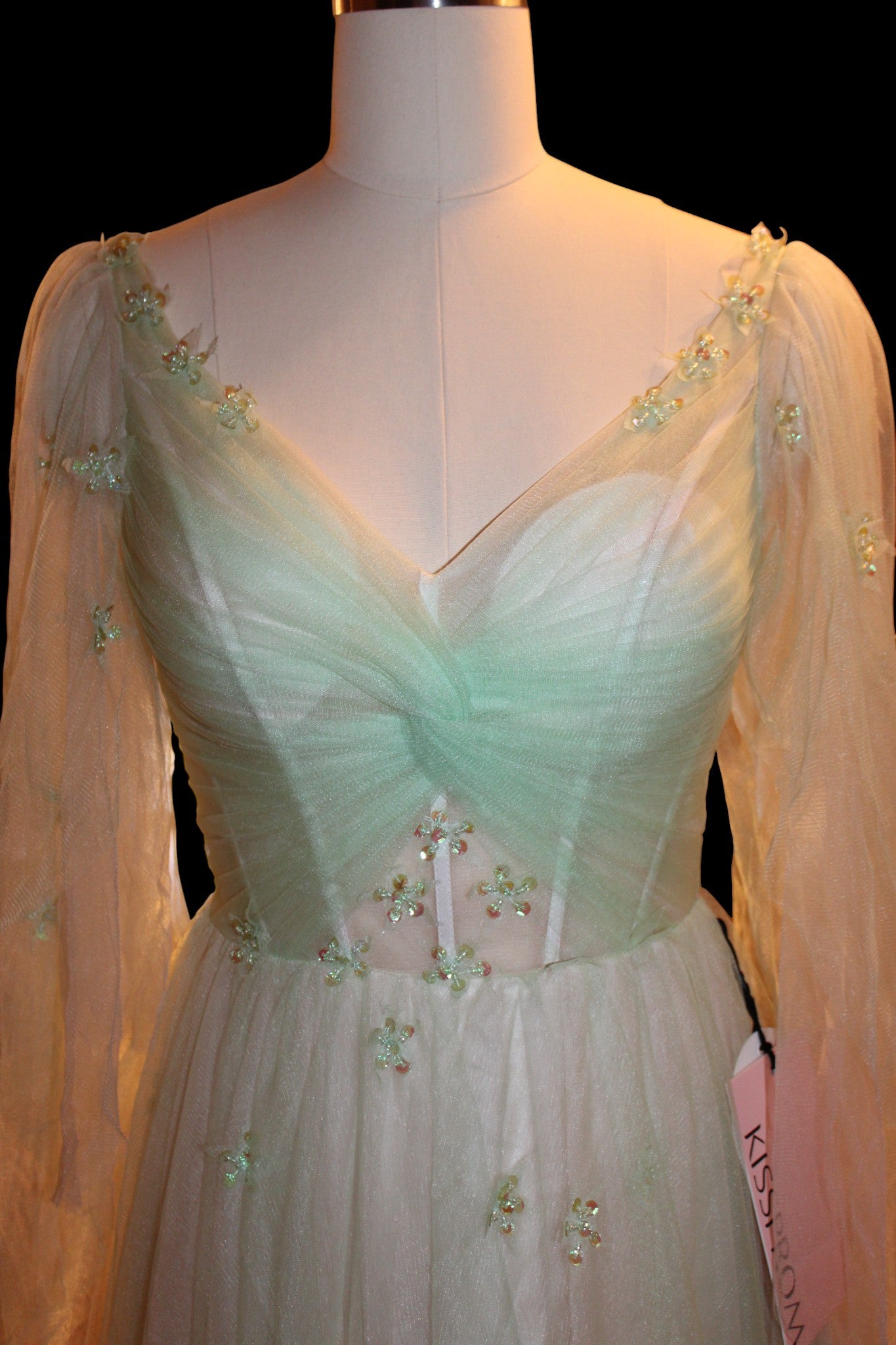 Lily Monet Ball Gown