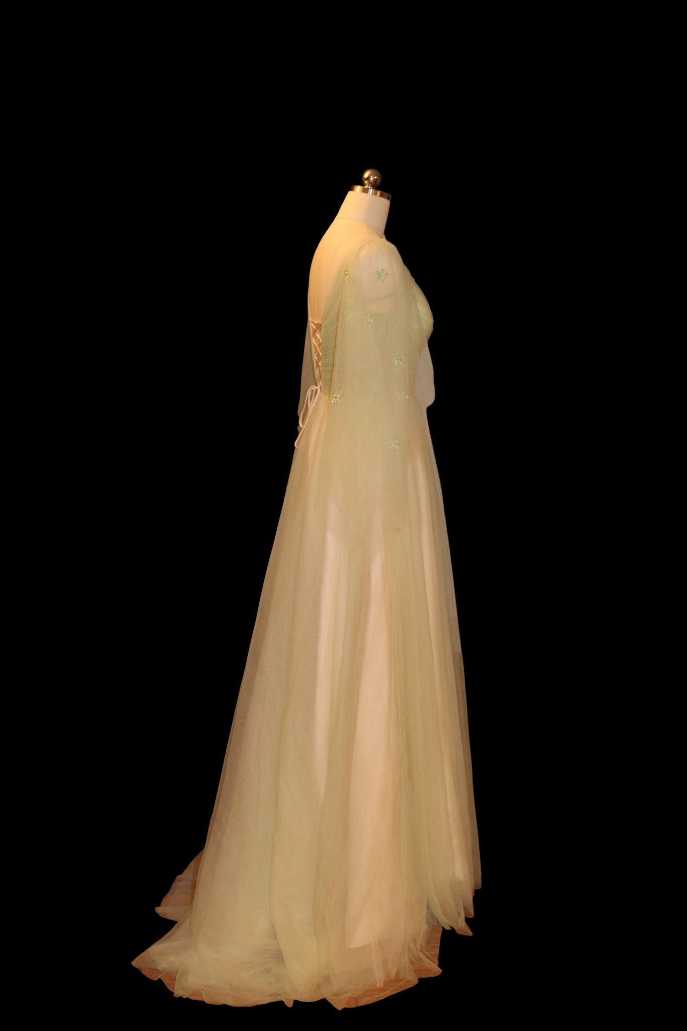 Lily Monet Ball Gown